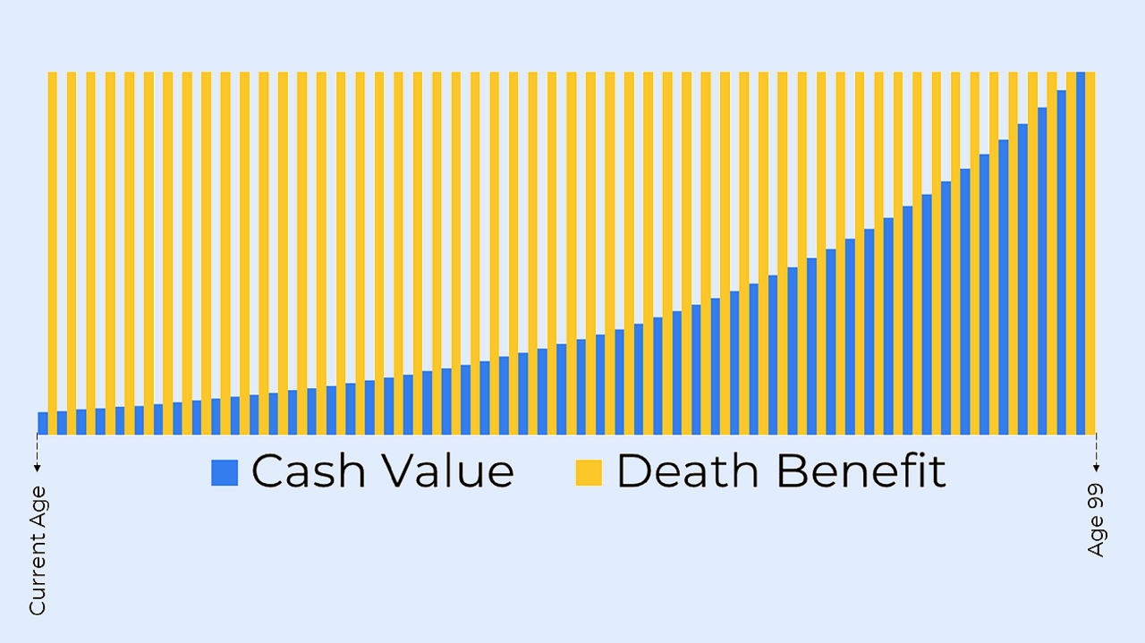 How does Whole Life Insurance Plan work