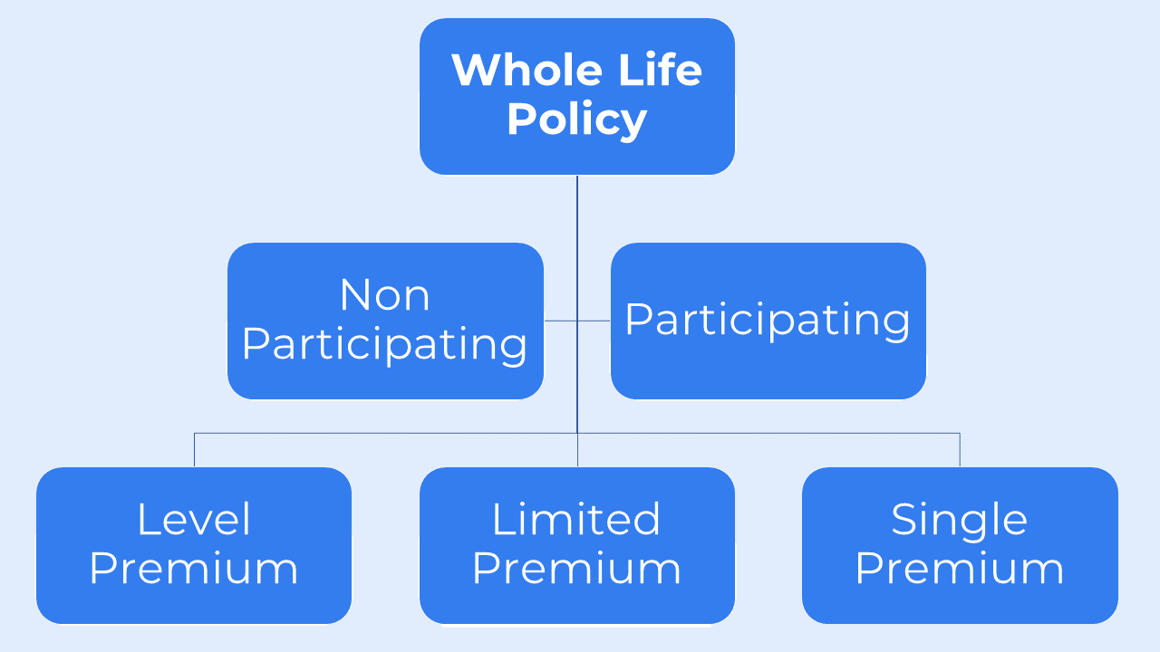 Types of Whole Life Policy