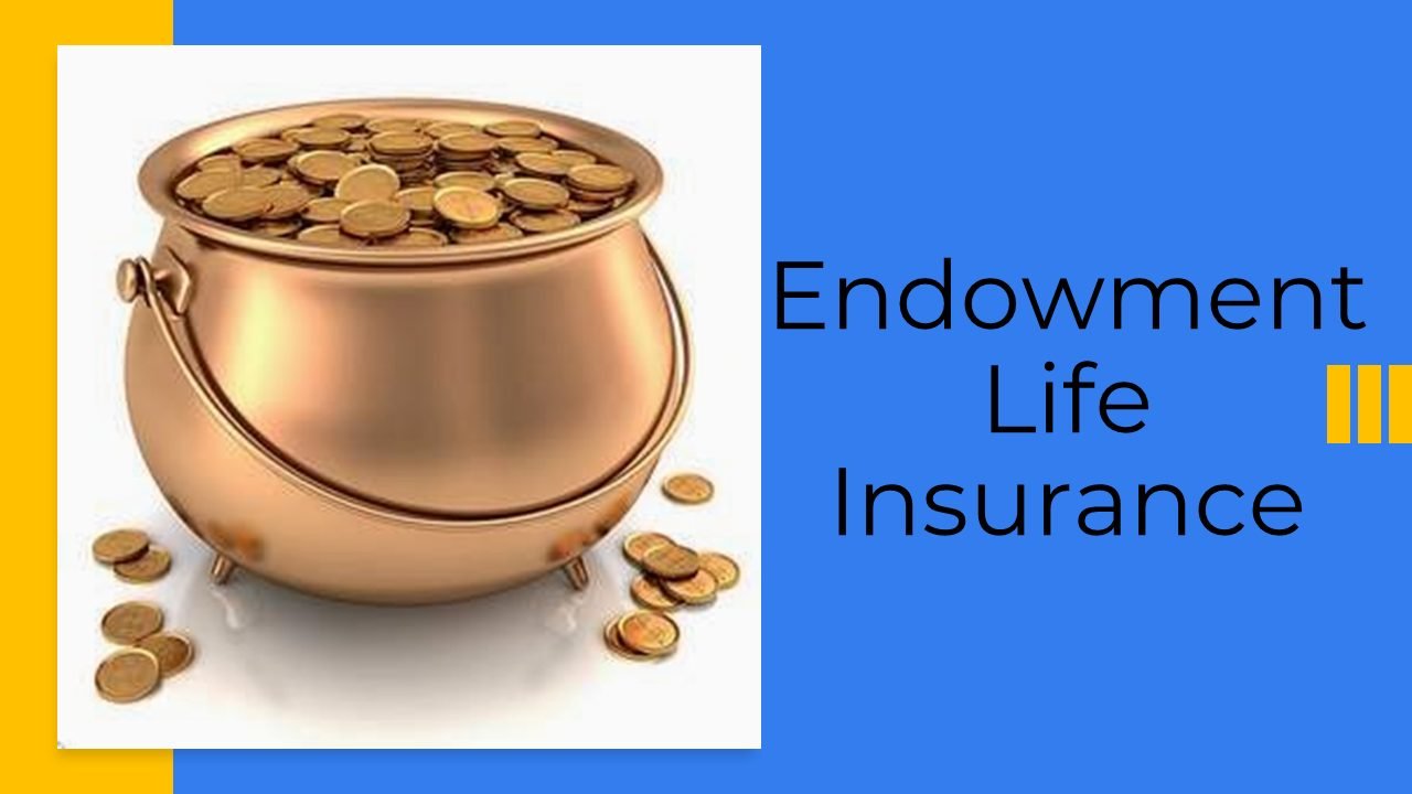 What is Endowment Plan in Life Insurance